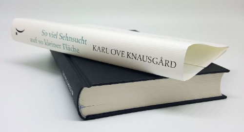 Buchcover und Innenansicht für das Buch: Så mye lengsel på så liten flate. En bok om Edvard Munchs Bilder