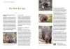Buchcover und Innenansicht für das Buch: Igel im Garten