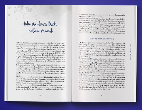 Buchcover und Innenansicht für das Buch: Das Ende deiner Suche