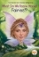 Buchcover und Innenansicht für das Buch: What Do We Know about Fairies?