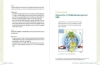 Buchcover und Innenansicht für das Buch: BNE in der Kita
