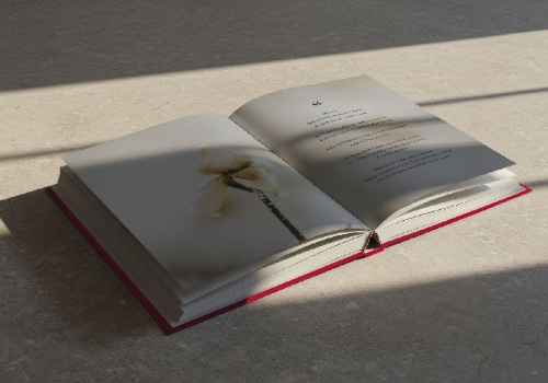 Buchcover und Innenansicht für das Buch: Forever Beautiful