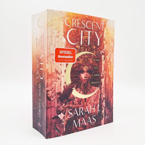 Buchcover und Innenansicht für das Buch: Crescent City - House of Earth and Blood