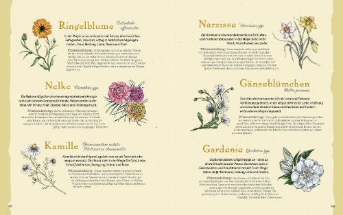 Buchcover und Innenansicht für das Buch: The Green Witch Illustrated: An Enchanting Immersion Into the Magic of Natural Witchcraft