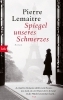 Buchcover und Innenansicht für das Buch: Miroir de nos peines