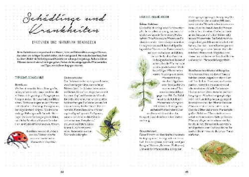 Buchcover und Innenansicht für das Buch: Mein Bienengarten - Das illustrierte Gartenbuch