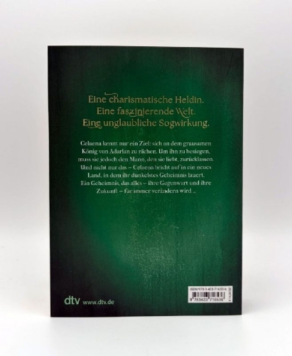 Buchcover und Innenansicht für das Buch: Heir of Fire