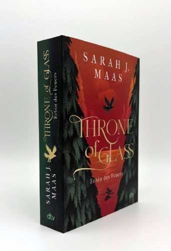 Buchcover und Innenansicht für das Buch: Heir of Fire