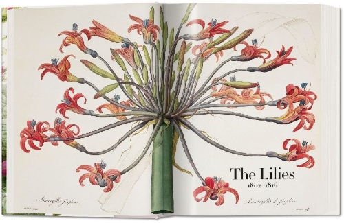 Buchcover und Innenansicht für das Buch: Redouté. The Book of Flowers
