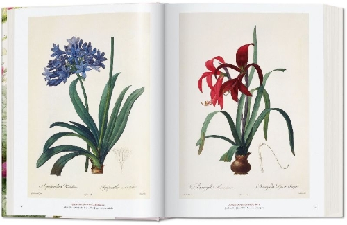 Buchcover und Innenansicht für das Buch: Redouté. The Book of Flowers