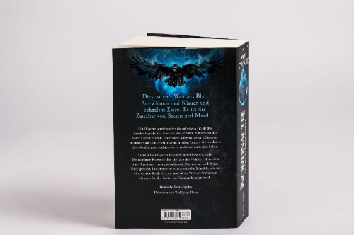 Buchcover und Innenansicht für das Buch: The Shadow of the Gods (The Bloodsworn Saga 1)