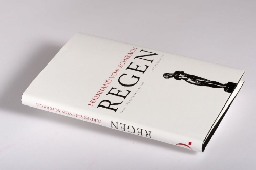 Buchcover und Innenansicht für das Buch: Regen