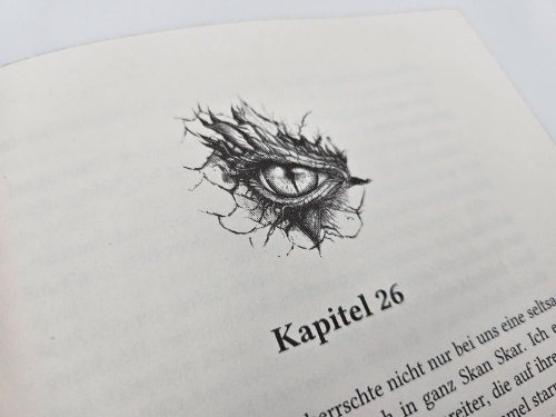 Buchcover und Innenansicht für das Buch: Bound by Flames