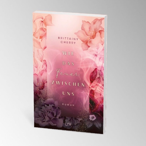 Buchcover und Innenansicht für das Buch: The Fire Between Hi and Lo