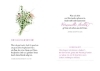 Buchcover und Innenansicht für das Buch: Alles Liebe zur Hochzeit