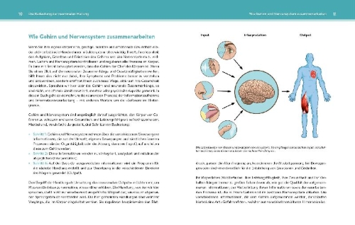 Buchcover und Innenansicht für das Buch: Neuronale Heilung