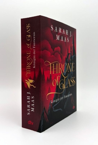 Buchcover und Innenansicht für das Buch: Queen of Shadows