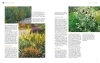 Buchcover und Innenansicht für das Buch: Blütenpracht ohne Gießen