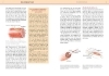 Buchcover und Innenansicht für das Buch: Yoga-Anatomie