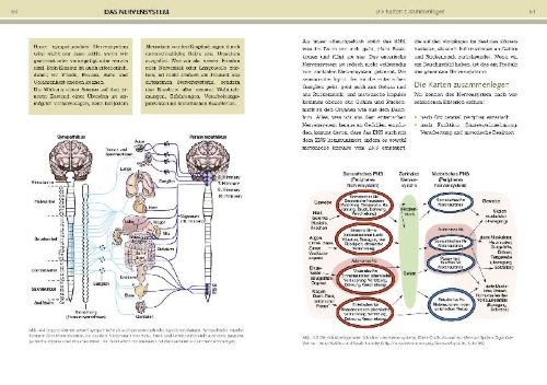 Buchcover und Innenansicht für das Buch: Yoga-Anatomie