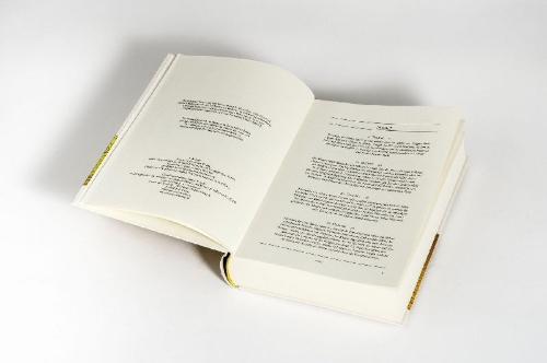 Buchcover und Innenansicht für das Buch: Odyssee