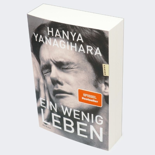 Buchcover und Innenansicht für das Buch: A Litlle Life