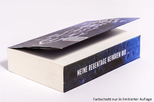 Buchcover und Innenansicht für das Buch: One Last Rainy Day (Ravenhood Legacy 1)