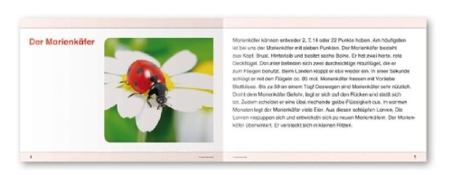 Buchcover und Innenansicht für das Buch: Ich kenne Waldtiere / Haus- und Hoftiere / Insekten und Spinnen. 3 Schülerarbeitshefte im Kombi für die 2. bis 4. Klasse
