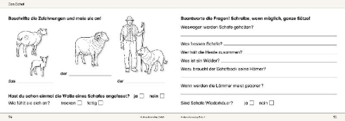 Buchcover und Innenansicht für das Buch: Ich kenne Waldtiere / Haus- und Hoftiere / Insekten und Spinnen. 3 Schülerarbeitshefte im Kombi für die 2. bis 4. Klasse