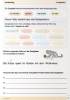 Buchcover und Innenansicht für das Buch: Mein Grammatikheft 3/4 für die 3. und 4. Klasse