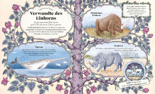 Buchcover und Innenansicht für das Buch: The Secret Unicorn Club