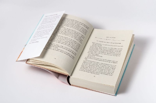 Buchcover und Innenansicht für das Buch: Livets Ekvation
