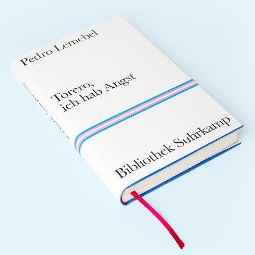 Buchcover und Innenansicht für das Buch: Tengo miedo torero