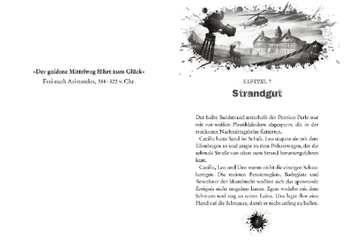 Buchcover und Innenansicht für das Buch: CLUE. Undervannsgåten