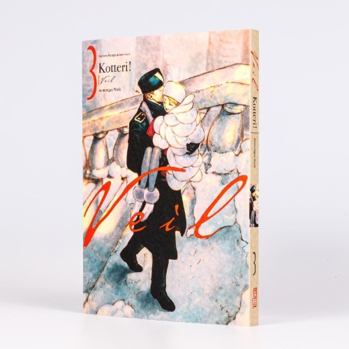 Buchcover und Innenansicht für das Buch: Veil