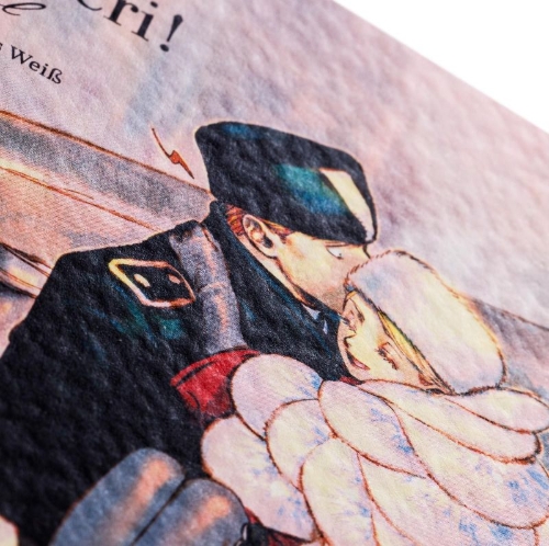 Buchcover und Innenansicht für das Buch: Veil