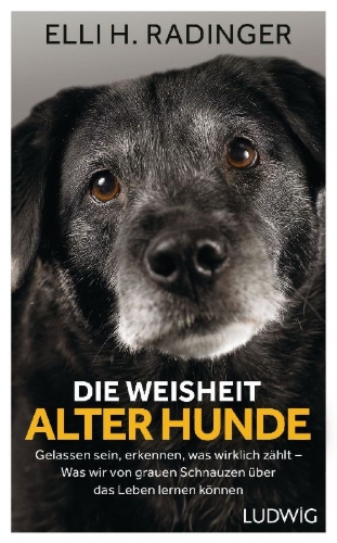 Buchcover und Innenansicht für das Buch: Die Weisheit alter Hunde