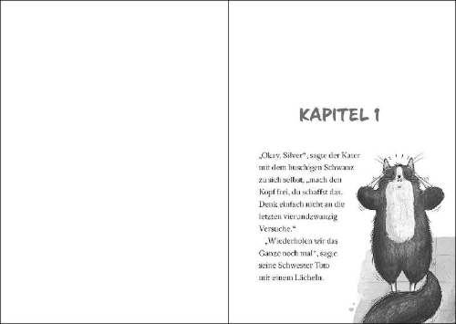 Buchcover und Innenansicht für das Buch: Toto the Ninja Cat and the incredible Cheese Heist