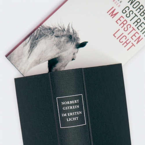 Buchcover und Innenansicht für das Buch: Im ersten Licht