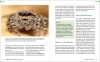 Buchcover und Innenansicht für das Buch: Extreme Wildlife-Makrofotografie
