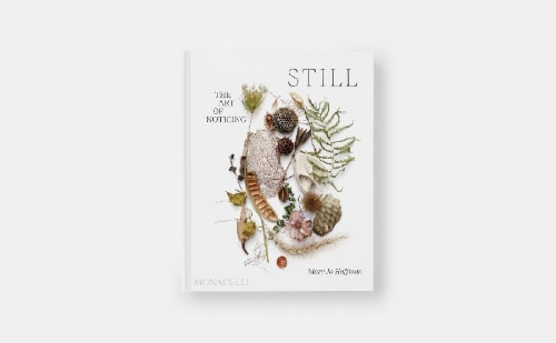 Buchcover und Innenansicht für das Buch: STILL