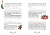 Buchcover und Innenansicht für das Buch: Die Weihnachtswunschmaschine