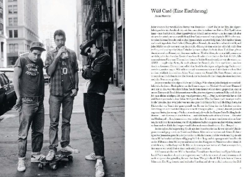 Buchcover und Innenansicht für das Buch: Beastie Boys Book