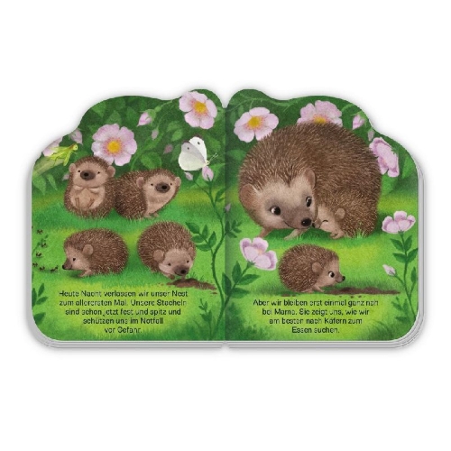 Buchcover und Innenansicht für das Buch: TRÖTSCH - Pappenbuch Der kleine Igel | Ab 1 Jahr