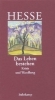 Buchcover und Innenansicht für das Buch: »Das Leben bestehen«