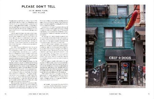 Buchcover und Innenansicht für das Buch: Great Bars of New York City