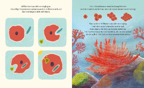 Buchcover und Innenansicht für das Buch: Who makes an Ocean