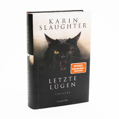 Buchcover und Innenansicht für das Buch: This is why we lied