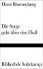 Buchcover und Innenansicht für das Buch: Die Sorge geht über den Fluß