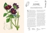 Buchcover und Innenansicht für das Buch: Duft